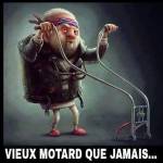 Brunauxx Profile Picture